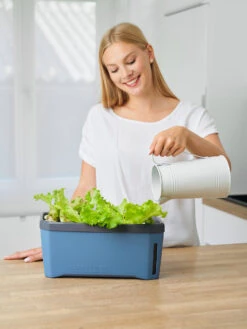 HARRY HERBS Kräutertopf Blau | Kräutertöpfe Von Gusta Garden -Garten- Und Outdoor-Geschäfte 560340 HARRY HERBS blau 104B10 gg 2