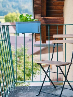 HARRY HERBS Kräutertopf Blau | Kräutertöpfe Von Gusta Garden -Garten- Und Outdoor-Geschäfte 560340 HARRY HERBS blau 104B10 gg 7