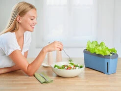 HARRY HERBS Kräutertopf Blau | Kräutertöpfe Von Gusta Garden -Garten- Und Outdoor-Geschäfte 560340 HARRY HERBS blau 104B10 gg 8