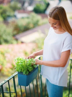 HARRY HERBS Blau Ohne Haube | Kräutertöpfe Von Gusta Garden -Garten- Und Outdoor-Geschäfte 560341 HARRY HERBS blau ohne Haube 104B20 gg 4