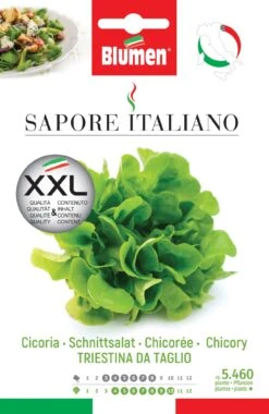 Schnittsalat Triestina Da Taglio | Salatsamen Von BLUMEN Group