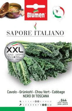 Grünkohl Nero Di Toscana | Grünkohlsamen Von BLUMEN Group