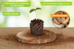 36 Mm Kokos Quelltabletten | Kokos Quelltabletten Von FLORTUS -Garten- Und Outdoor-Geschäfte 560730 36 mm Kokos Quelltabletten 2000 1013 36x 3