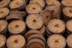 36 Mm Kokos Quelltabletten | Kokos Quelltabletten Von FLORTUS -Garten- Und Outdoor-Geschäfte 560730 36 mm Kokos Quelltabletten 558922 36 mm Kokos Quelltabletten 2000 1013 36x 7