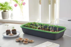 BoQube M &amp; FLORTUS Kokos Quelltöpfe (24 Stück) | Anzuchtzubehör Set Von FLORTUS -Garten- Und Outdoor-Geschäfte 562697 BoQube M und FLORTUS Kokos Quelltoepfe 24 Stueck 2000 2385 anthrazit 3