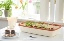 BoQube M &amp; FLORTUS Kokos Quelltöpfe (24 Stück) | Anzuchtzubehör Set Von FLORTUS -Garten- Und Outdoor-Geschäfte 562697 BoQube M und FLORTUS Kokos Quelltoepfe 24 Stueck 2000 2385 kupfer 2