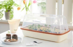 BoQube M &amp; FLORTUS Kokos Quelltöpfe (24 Stück) | Anzuchtzubehör Set Von FLORTUS -Garten- Und Outdoor-Geschäfte 562697 BoQube M und FLORTUS Kokos Quelltoepfe 24 Stueck 2000 2385 kupfer 3