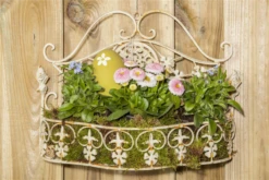 Tausendschön -Garten- Und Outdoor-Geschäfte GS470779 800x800