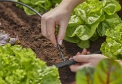 GARDENA Verbinder, 3/16 Zoll -Garten- Und Outdoor-Geschäfte LA 664890 800x800